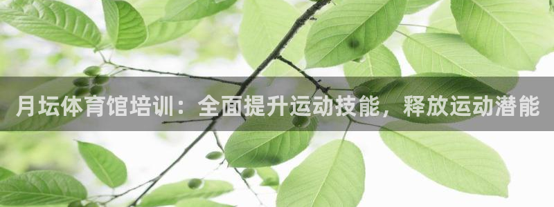 富联娱乐军7O777：月坛体育馆培训：全面提升运动技