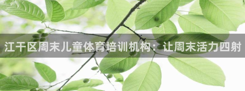 富联平台上级下级是什么意思：江干区周末儿童体育培训机构：让周