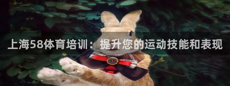 富联娱乐客户端app下载服务：上海58体育培训：提升您的运动