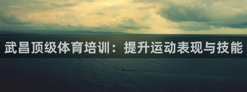 富联娱乐官方网站下载：武昌顶级体育培训：提升运动表现与技能